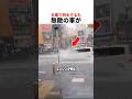 台風6号の猛威