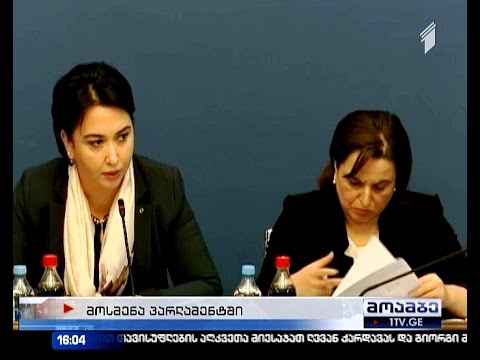 პარლამენტი ძალადობის პრევენციის ახალ მექანიზმზე მუშაობას იწყებს