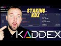 Staking KDX On EckoDex - 7 Day Update and Progress