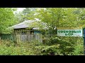 Заброшенный пионерский лагерь Сосновый бор в Подмосковье