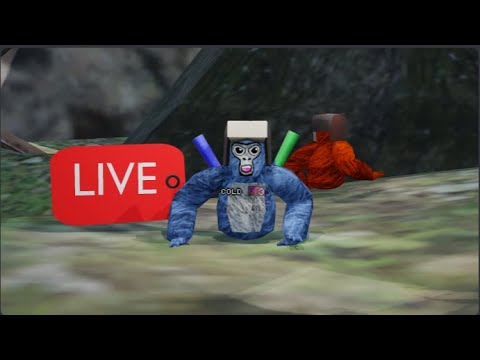 Late Night Gorilla Tag Stream - YouTube