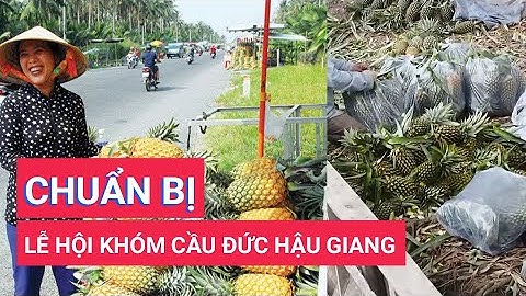 Hậu Giang sẽ tổ chức lễ hội khóm Cầu Đức