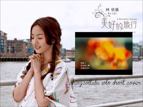 林依晨 - 花一開就相愛吧 (solo short cover)