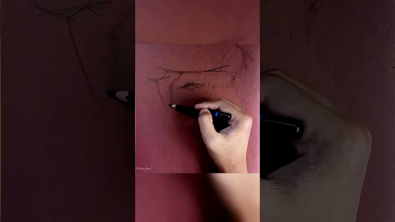 charcoal on tone paper 