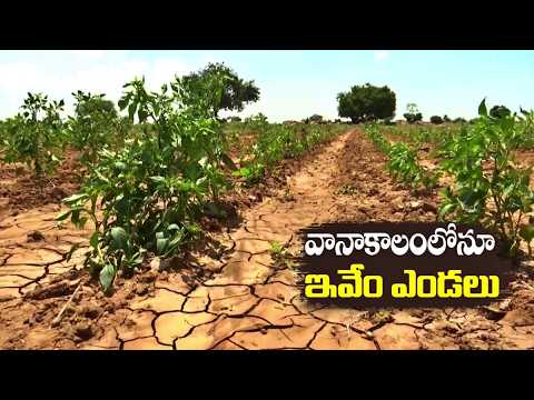 వానాకాలంలోనూ ఇవేం ఎండలు - తెలుగు రాష్ట్రాల్లోనూ అల్లాడిస్తున్న ఎండలు