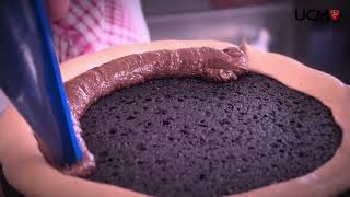 Chocolate Ganache Ucm