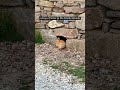Easter in Paros, Greece 🇬🇷 | Greek Island Spring