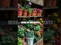 Building a Stylish Vertical Planter for Your Home