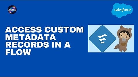 12.Access custom metadata records in a flow
