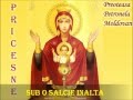 Sub o salcie inalta - Priceasna.wmv