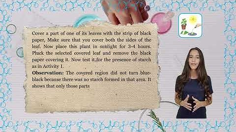 Bond Science Class 7 Chapter 1 Nutrition