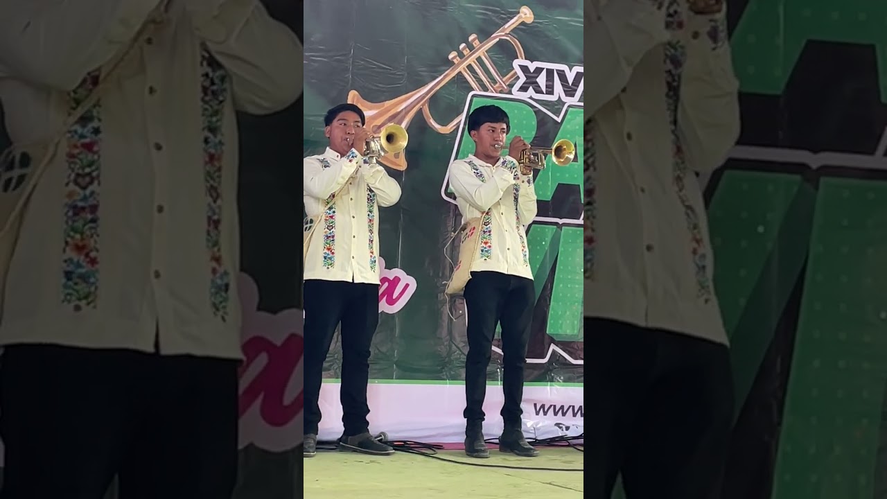 Banda Los Primos De Tixcuayuca El Gallo