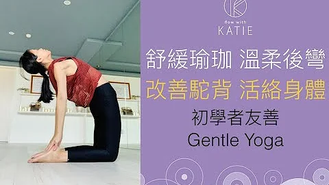 舒缓瑜珈-温柔后弯(初学者友善)改善驼背活络身体 Gentle Yoga {Flow with Katie} - 天天要闻