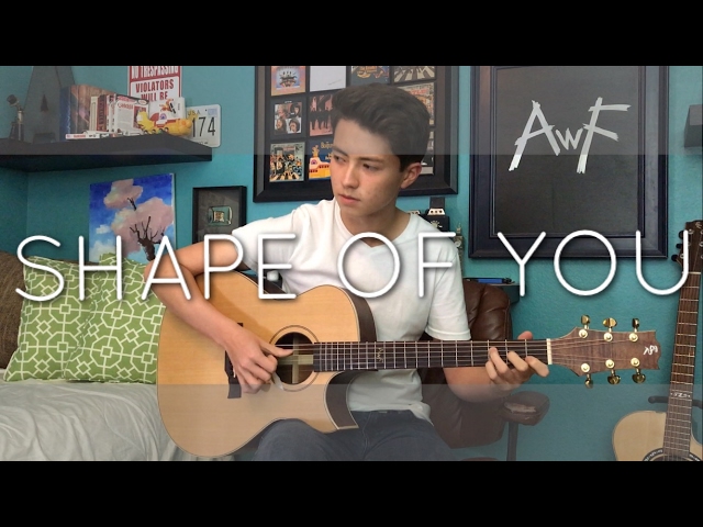 Ed Sheeran - Shape of You - Cover (Fingerstyle Guitar) class=