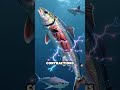 Sharks’ Secret Superpower: Sensing Electricity