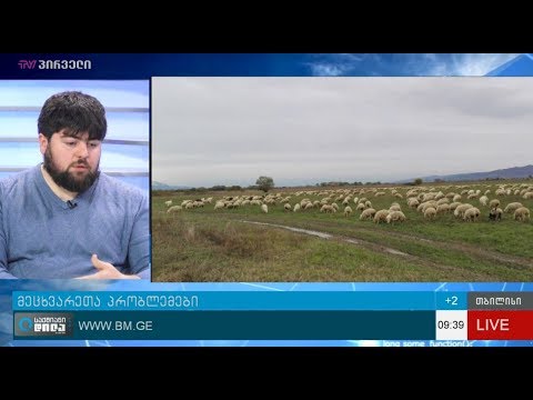 მეცხვარეთა პრობლემები