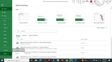 Exp19_Excel_Ch08_ML1_Portfolio_Analysis | excel ch08 ml1 portfolio ana | Excel Chapter 8 Mid-Level 1