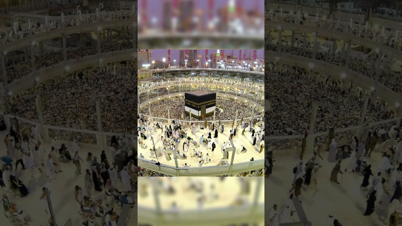 New Cool Tool! 🤲💚🤲 New Viral Gadgets,SmartKitchen Appliances, Tools, Utensils, Home Cleaning #shorts