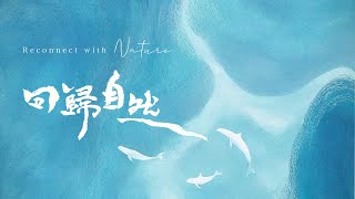 【2025新專輯】回歸自然 - 37首完整收聽| Reconnect With Nature-2025 New Album