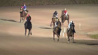 Vidéo de la course PMU PRIX YME KUIPER