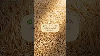Eco-Friendly Kitchen Sponge 🌿 | Amazon Must-Have 2025