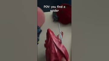 Alien queen finds a spider #aliens #xenomorph #memes