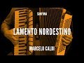 Marcelo caldi  lamento nordestino  sanfona