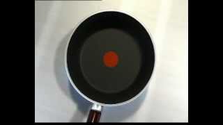 Tefal THERMO-SPOT - YouTube