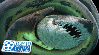 Top 10 Largest Snakes in the World - TOP 10 CLIPZ