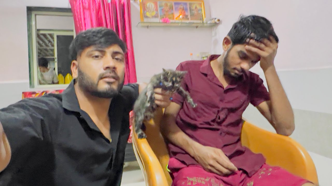 दादाच्या CAT ला काय झाल🥺 वहिनी वर चीडला दादा