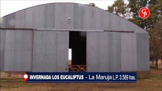 Campo en venta en La Maruja, La Pampa.