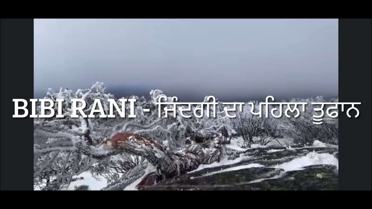 BIBI RANI - Part3 ਜਿੰਦਗੀ ਦਾ ਪਹਿਲਾ ਤੂਫਾਨ | A TRUE LIFE STORY - YouTube