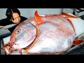 規格外のマンボウを仕入れたので解体したら1000匹の寄生虫がウジャウジャと 規格外のマンボウを仕入れたので解体したら1000匹の寄生虫がウジャウジャと