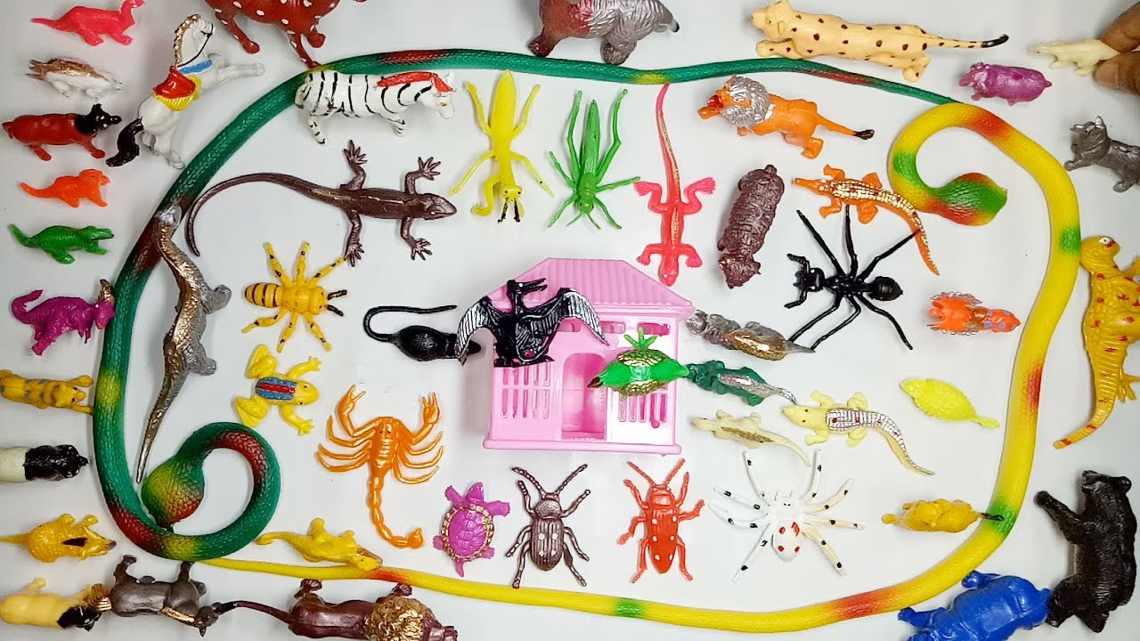 Toy Insects - My Insect Connection - Animal Toys | Jawdan Toys - YouTube