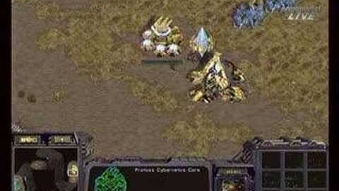 Flash vs Stork Pt1/2 On Persona