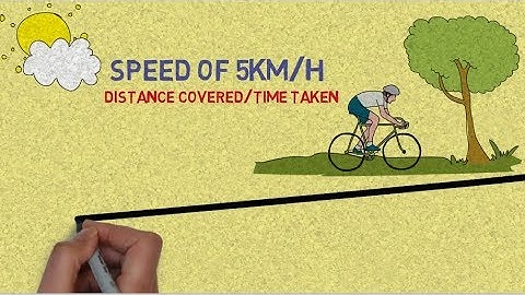 The Difference Between Speed & Velocity