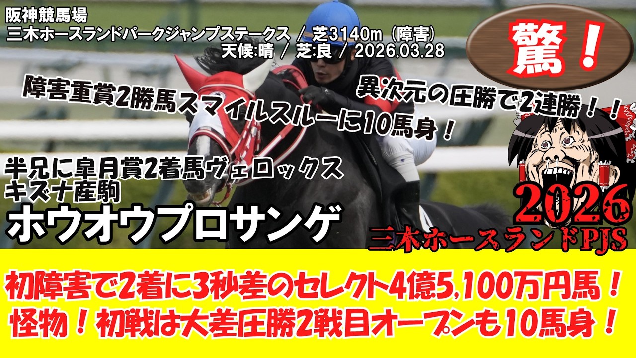競馬】 驚き！怪物！ヴェロックスの弟の4億5千万円馬！初戦は大差2戦目