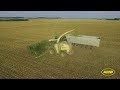 Sklizeň kukuřice | Krone BiG X 1100 & Tatra Phoenix | Corn Harvest | Rolnická společnost Lesonice