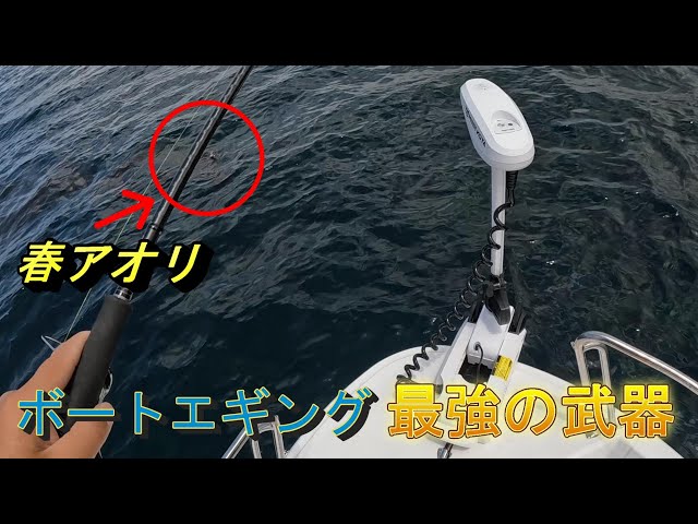 日本海ボートエギング！！アイパイロット初実戦♪ - YouTube
