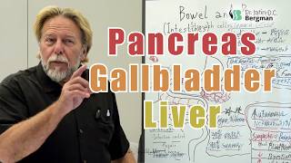 The Hidden Trio: Liver, Gallbladder & Pancreas