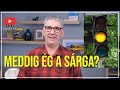 Ezt is tudod a KRESZ-lámpákról?