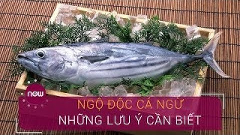 Cá ngừ cá hồi khác nhau như thế nào