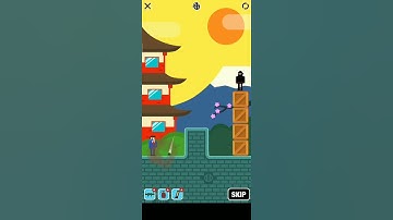 Mr Bullet in the Shogun