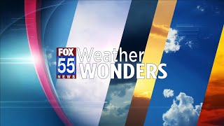 Weather Wonders: How does fog form?