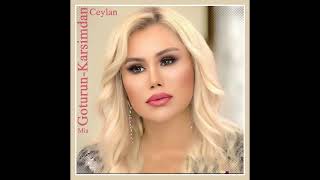 Ceylan / Goturun-Karsimdan Resimi