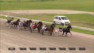 Vidéo de la course PMU PRIX WOLVEGA YEARLINGSALE 21
