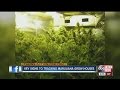 Key signs to tracking marijuana grow houses