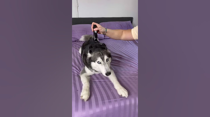 Haircut Prank on Meeka Goes Wrong 😳