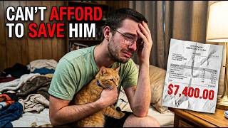 Why Americans Can't Afford Their Pets Anymore