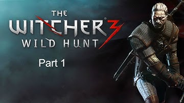 The Witcher 3: Wild Hunt Walkthrough Part 1 (PS4 Let